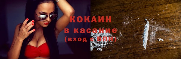 стаф Алексин
