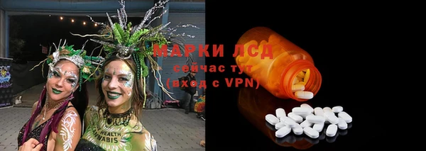 стаф Алексин