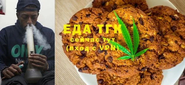 тгк Алзамай