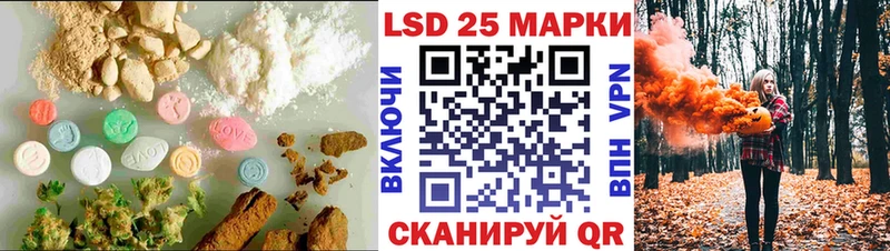 ОМГ ОМГ   Глазов  Лсд 25 экстази ecstasy 
